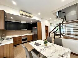 Holland Link (D10), Terrace #592487691